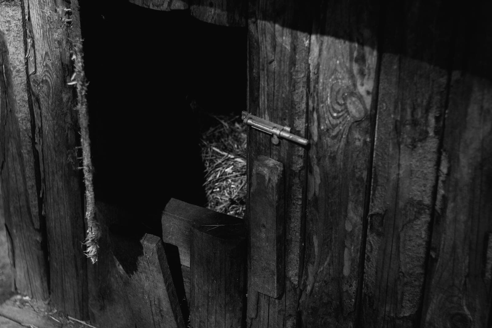 The open pop door of a chicken coop with a ramp